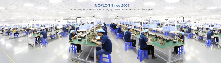 MOFLON Photo 4