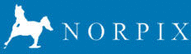 MORPIX - logo
