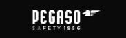 Pegaso Safety