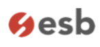 ESB SISTEMAS ESPAÑA SL