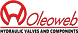 Oleoweb Srl