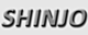 Shinjo泵有限公司。