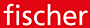费舍尔信息技术股份有限公司