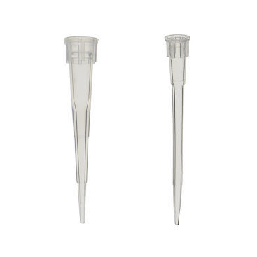 Pipette tip - TIPP series - LABBOX LABWARE S.L.