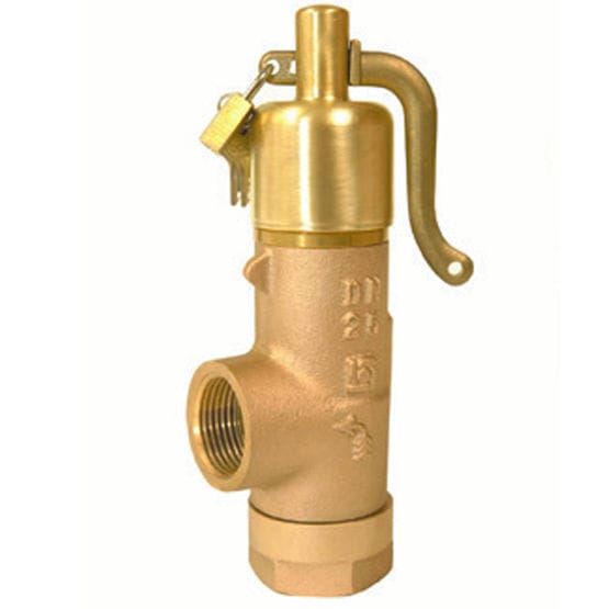 Threaded relief valve - Bailey 707 - Emerson Automation Solutions ...