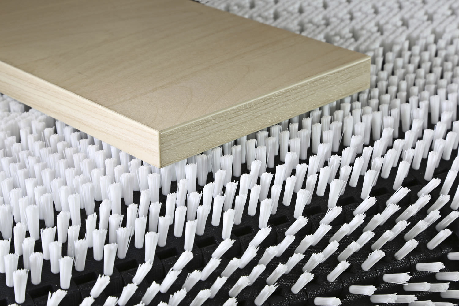 Brush conveyor belt - MBS - August Mink 