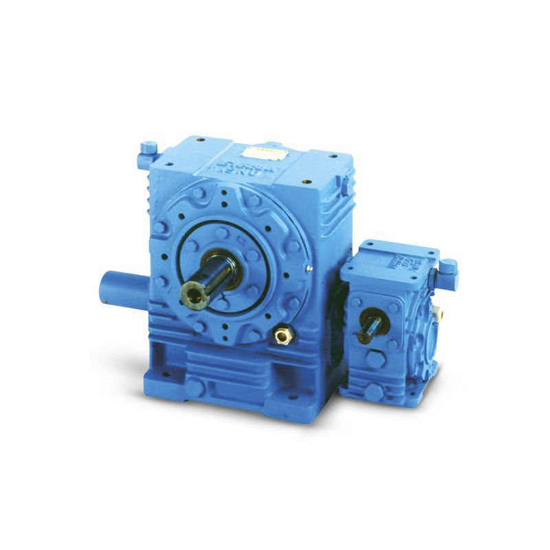Worm gear BENZLERS straighttoothed / double