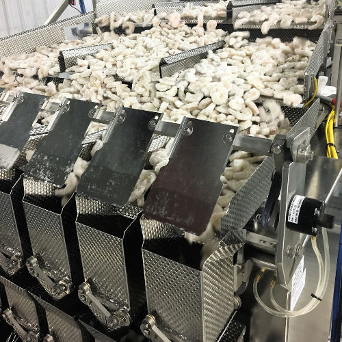 Multihead weighing machine Triangle Package Machinery Co. pasta