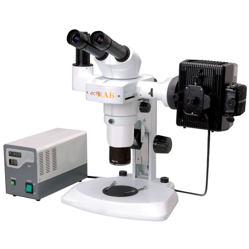 Analysis stereo microscope - SM 500 Fl series - EchoLAB - fluorescence ...