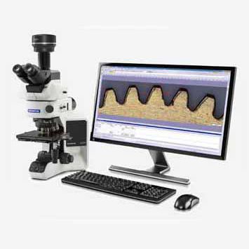 Image Analysis Software - Stream - Evident - Olympus Scientific ...