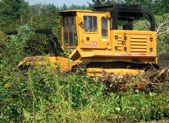 Forestry mulcher - 185 - 260 hp (138 - 194 kW) | C185, C260