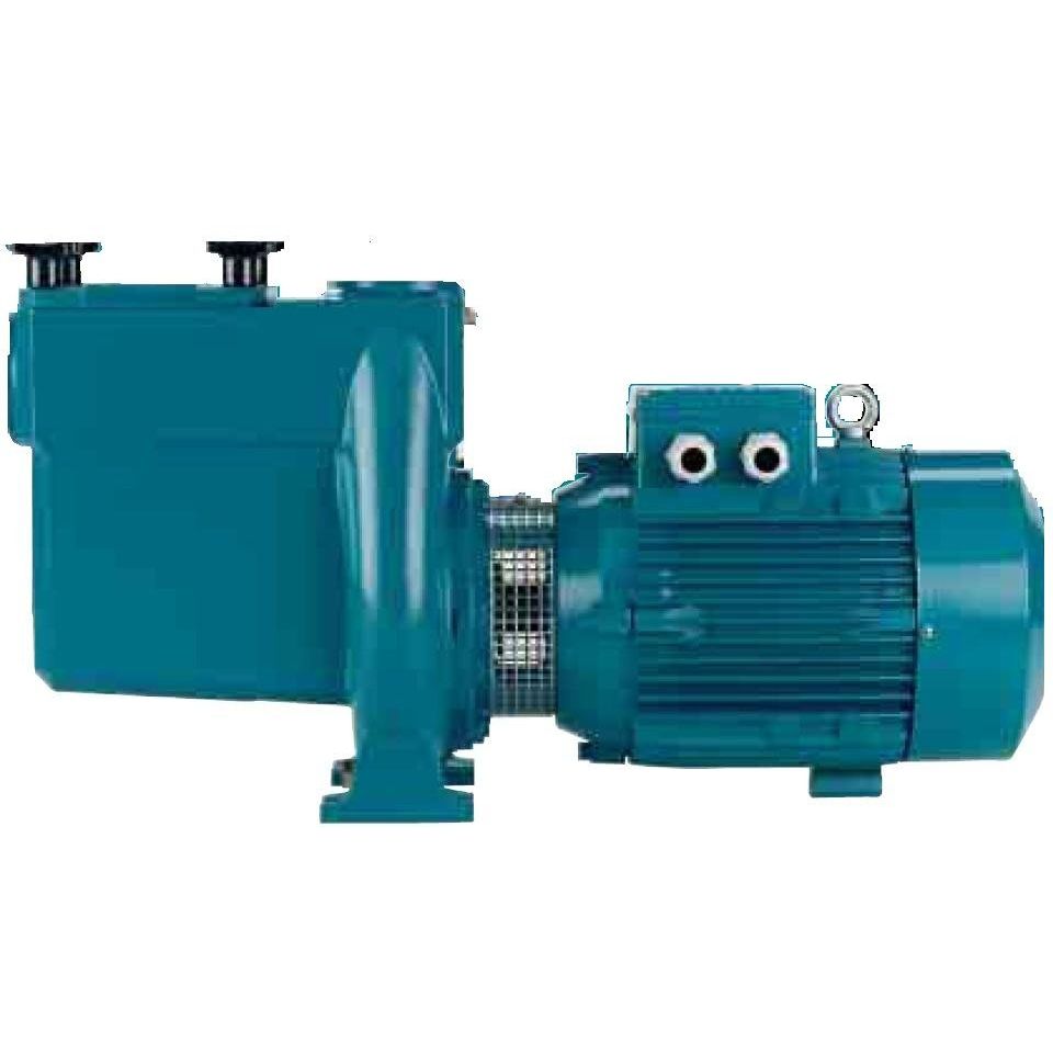 Water Pump - NMP - Calpeda - Electric / Self-priming / Centrifugal