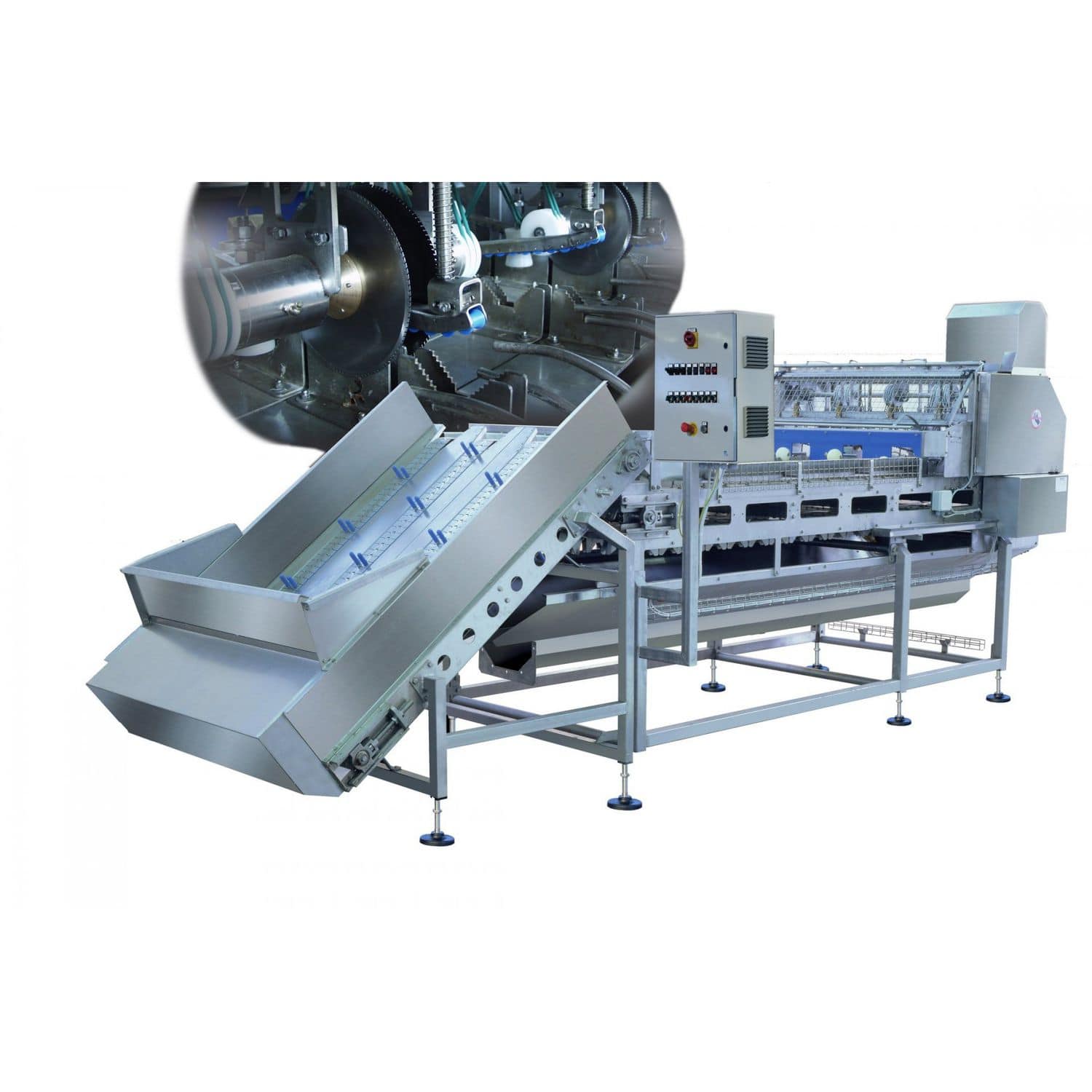 Onion snipper machine 1210 TECNOCEAM