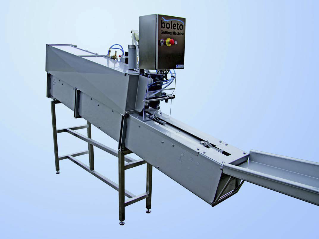 Fish gutting machine Boleto