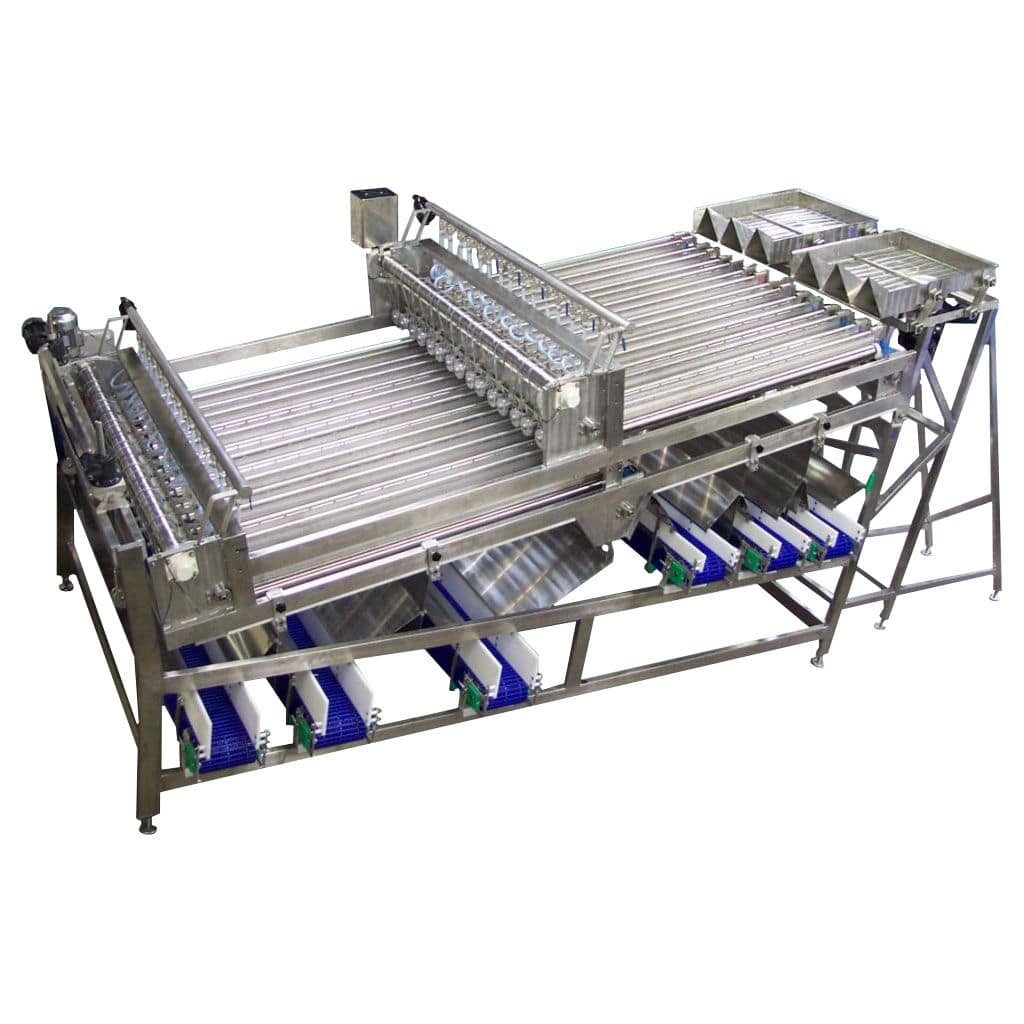 Fish grader - KM Fish - belt / roller / vibrating