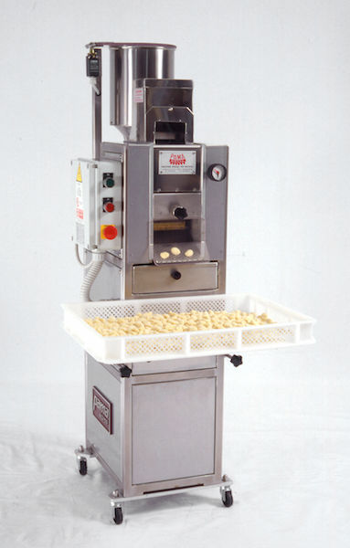 【Nyoqi 3-2】 P. Willinckii Spur(TC) 470_XJtK98.jpg