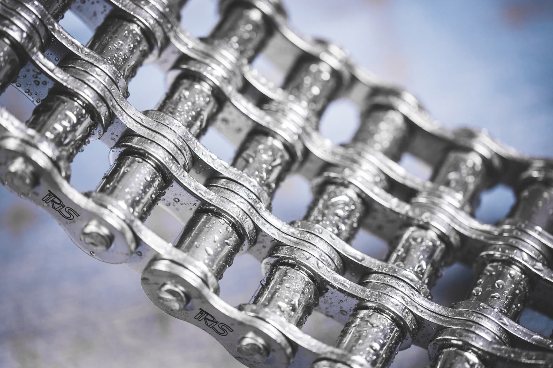 Transmission chain - Iris Chains - stainless steel / carbon steel / food