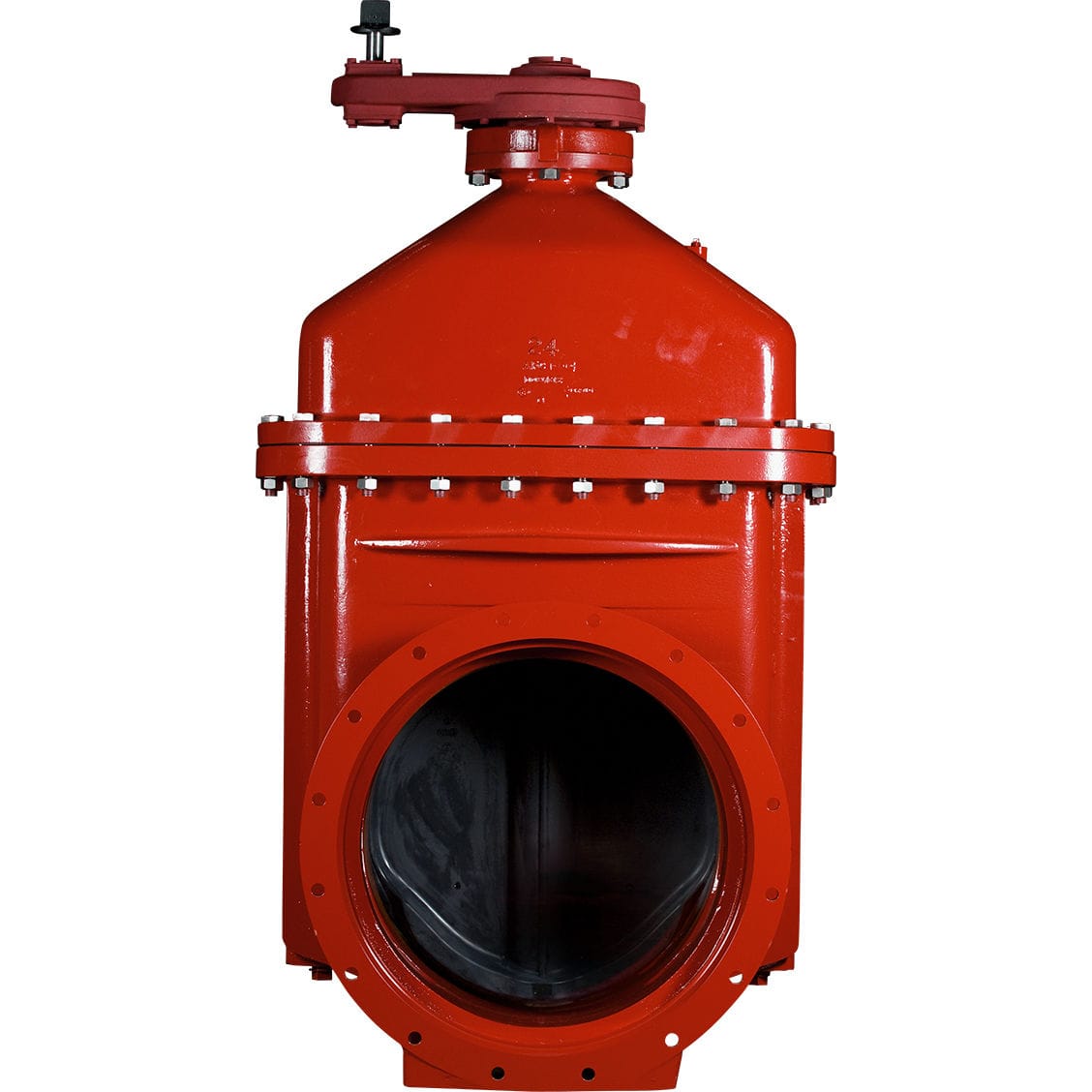 Wedge gate valve 2500 series American Flow Control for potable