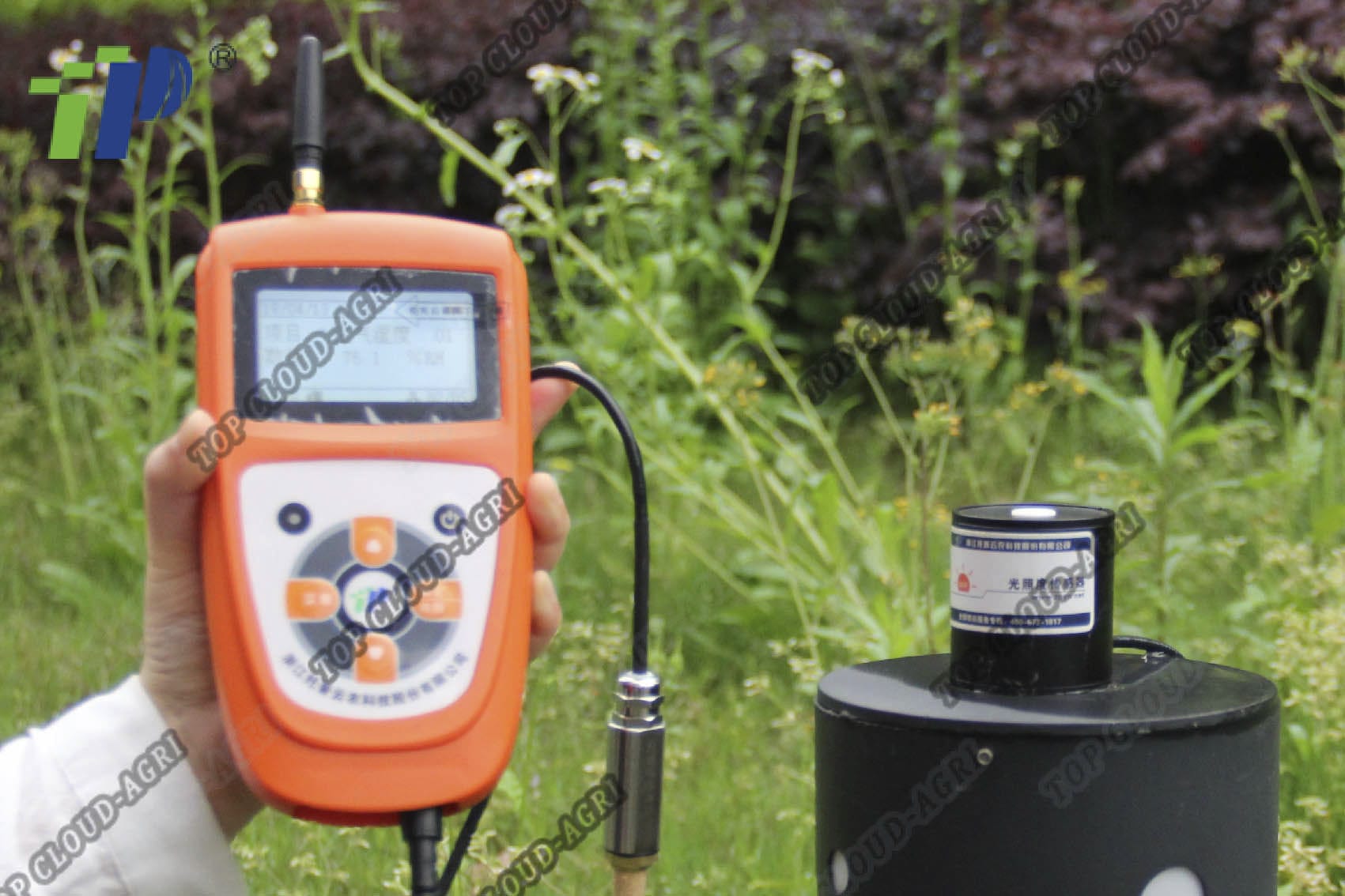 Weather sensor with temperature measurement DJL18G Zhejiang Top