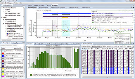 Analysis software - Auditor - SINUS - measurement / post-processing ...