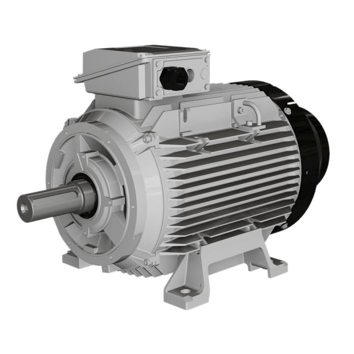 Asynchronous motor - W, WP series - Wolong Electric Group - 3-phase ...
