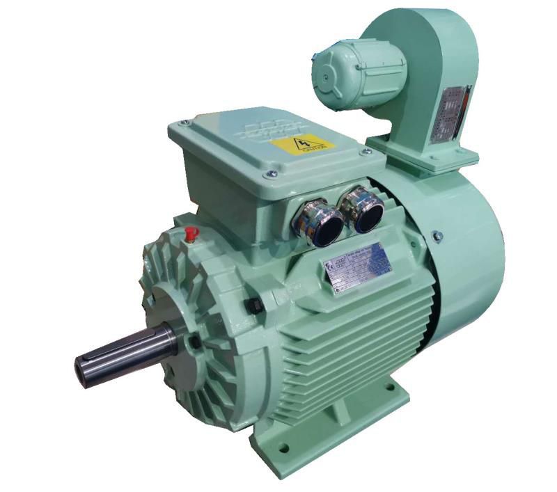 Threephase motor YVP YVF2 series Dalian Dalmo Electric Motor Co