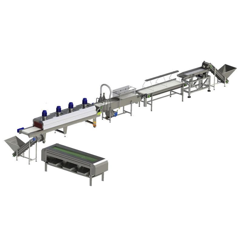 Date processing line - Zibo Unique Machinery Co., Ltd. - washing ...