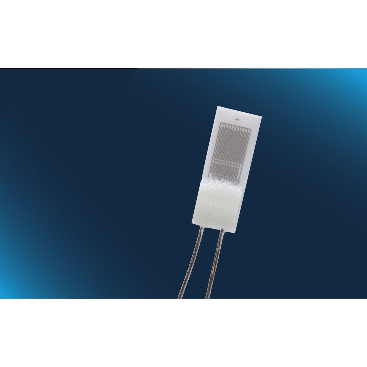 RTD temperature sensor Standard Pt1000 (520) class F0.3 Innovative