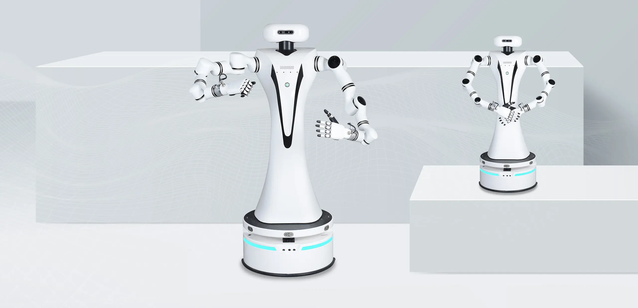 Dual-Arm Compound Robot (RMC-DA) — image 3