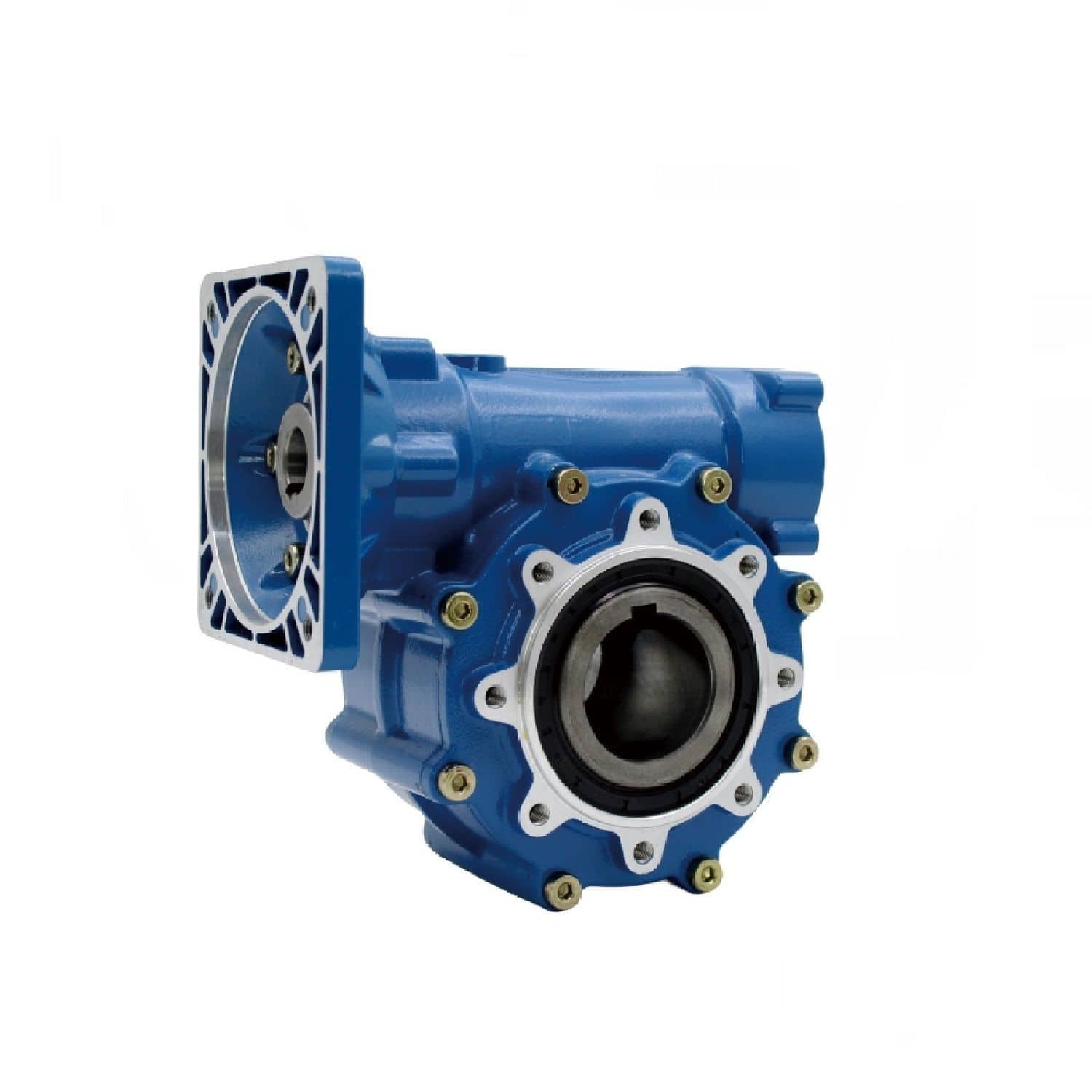Worm gearbox - CYWF50 - Chenyue (Jiangsu) Technology Co