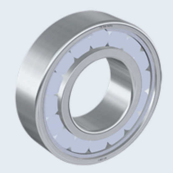 Cylindrical roller bearing N V series STCSteyr Wälzlager