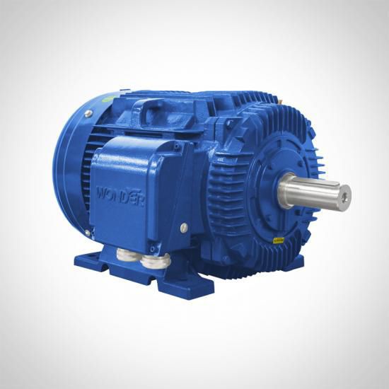 Threephase motor NT series Fuzhou Wonder Electric Co.,Ltd. asynchronous / IP55 / cast iron