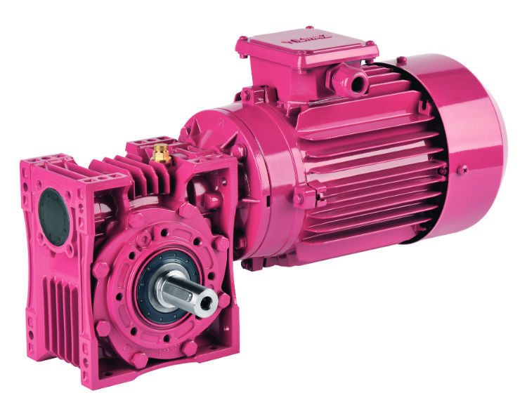 Stepper gearmotor EV Series YILMAZ REDUKTOR worm / right angle