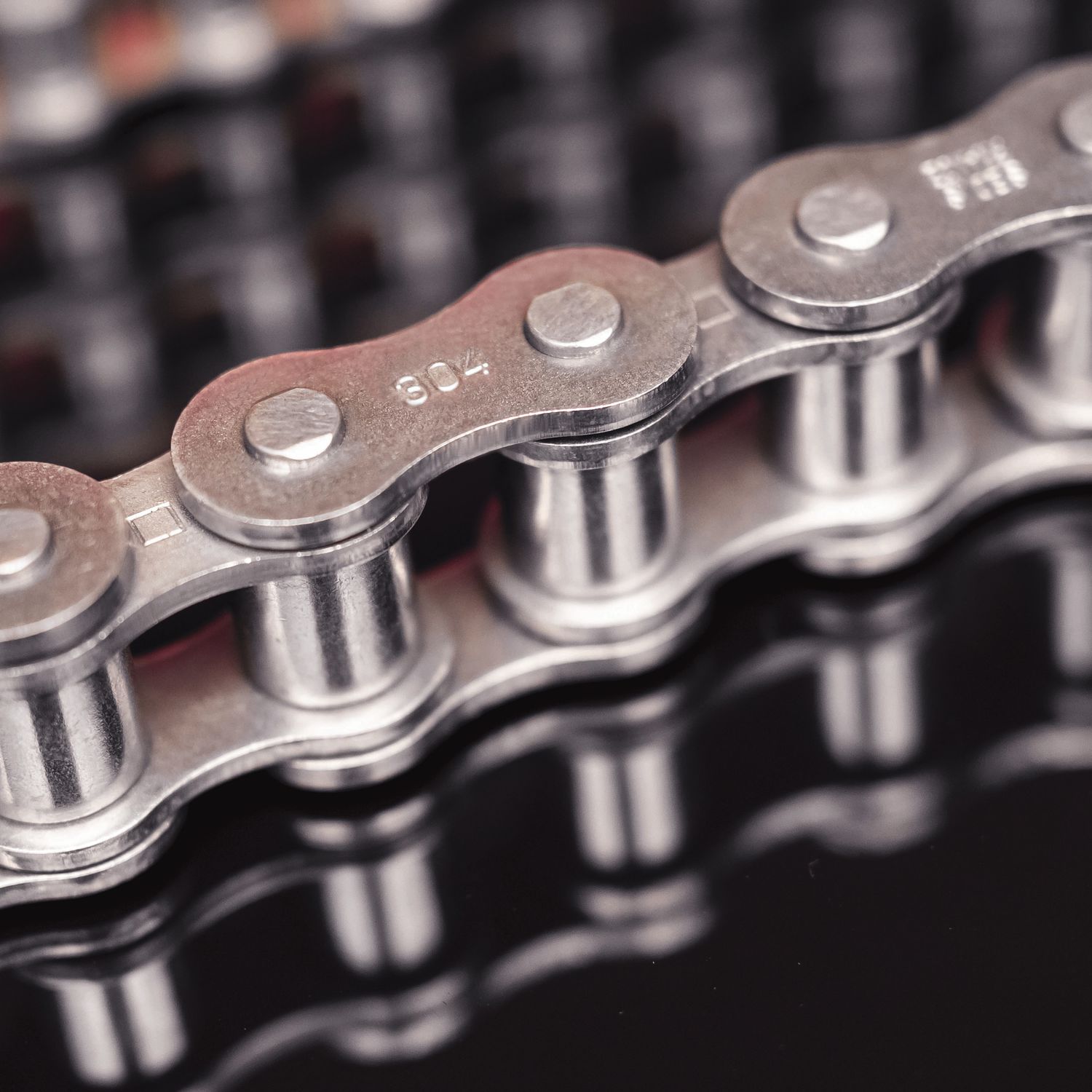 Trans Chain Transmission chain - Alpha Premium INOX (BS) - SEDIS - stainless steel ...