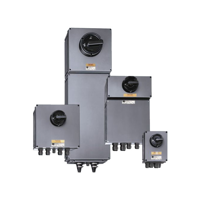 Multipole disconnect switch - 8146/5-V11-300-00-0050 - R