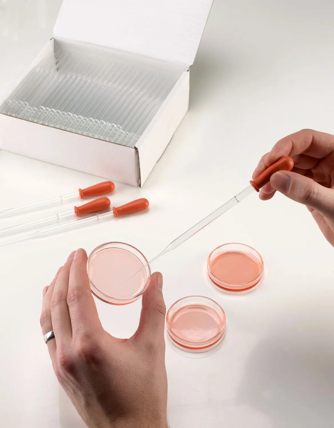 Scilabware PRA620AS Pipette Jaugée en Verre Classe AS 2 Traits Lot de 2 Capacité 1 ml 