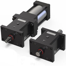 Pneumatic rod lock - All industrial manufacturers