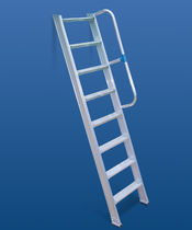 Ladder with safety cage - All industrial manufacturers