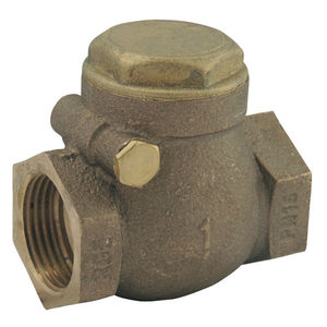 swing check valve