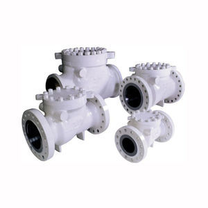 swing check valve