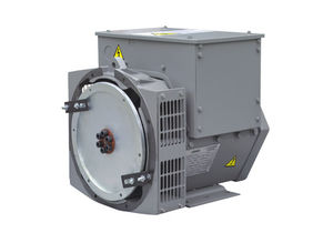 single-phase alternator
