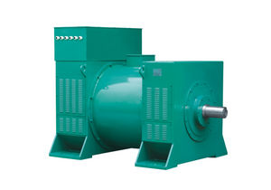 无刷交流发电机