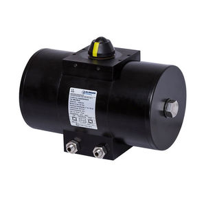 rotary actuator