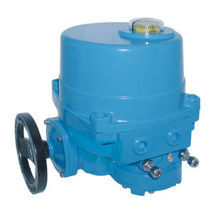 electric valve actuator