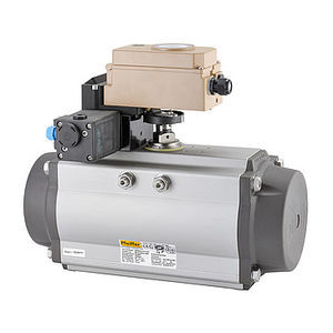 rotary actuator