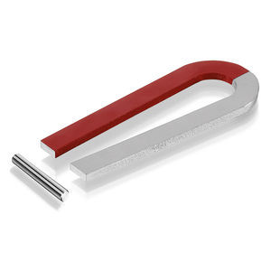 horseshoe magnet
