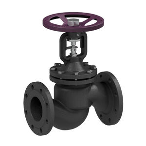 valve with bellows seal 1