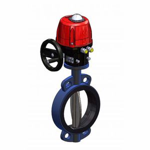 butterfly valve