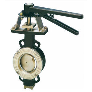 butterfly valve