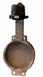 butterfly valve